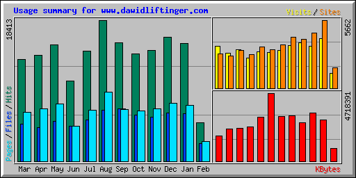 Usage summary for www.dawidliftinger.com